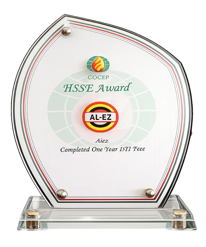 Award and recognition certificate 2